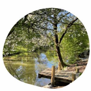 Aménagement paysager en Vendée