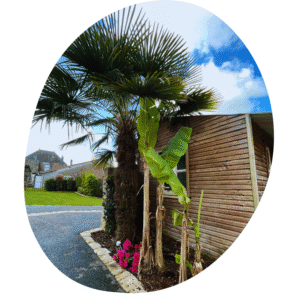 entretien jardin vendée