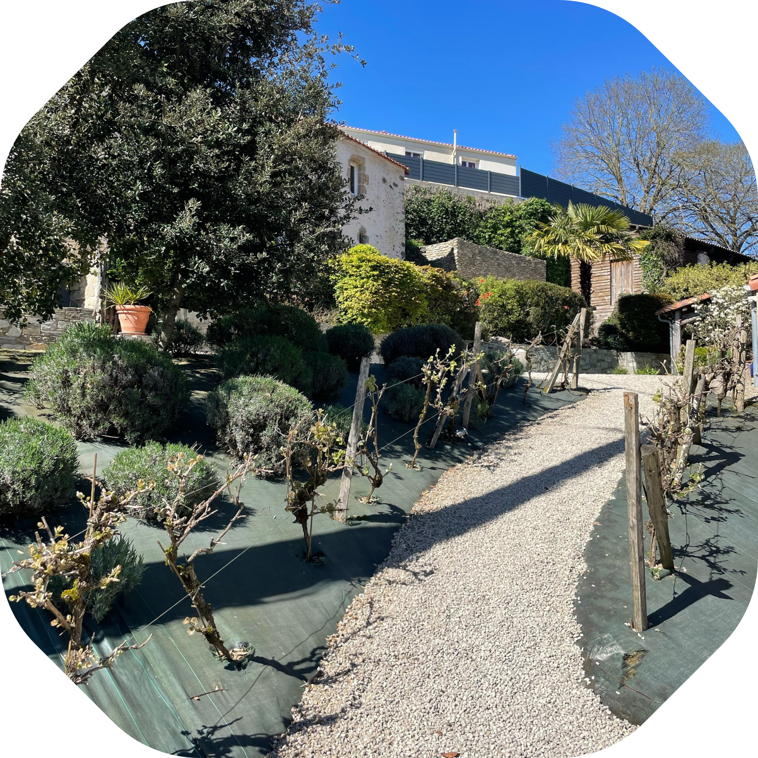 jardin sec vendée